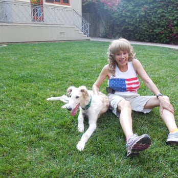 LA Dog Behaviorist - Pet Training Near Me - Twentynine Palms , California LA Dog Behaviorist - Pet Training Near Me - Twentynine Palms , California