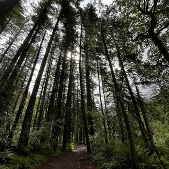 Twin Falls Trailhead - Hiking Near Me - North Bend, Washington