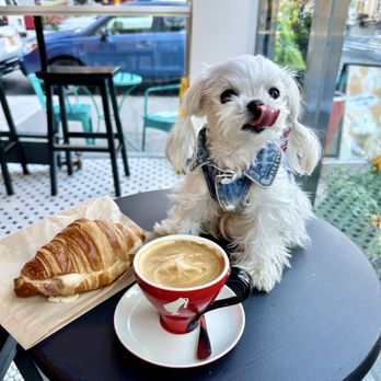 Zuri Coffee - Coffee & Tea Near Me - New York, New York Zuri Coffee - Coffee & Tea Near Me - New York, New York