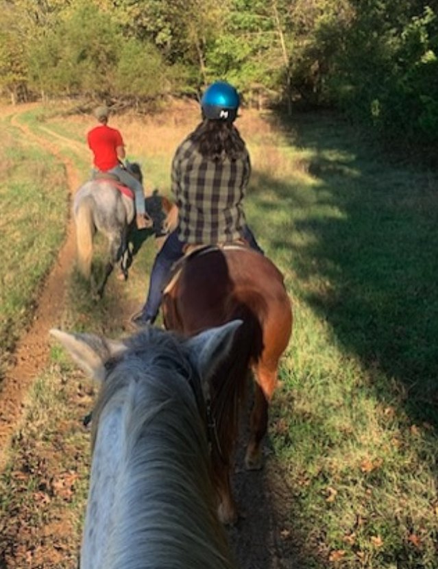 Aristo Horse Riding - equestrian in Los Angeles, CA