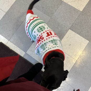 Michaleen's Florist & Greenhouse - shop pup! - Nurseries & Gardening Near Me - Ithaca, New York Michaleen's Florist & Greenhouse - shop pup! - Nurseries & Gardening Near Me - Ithaca, New York