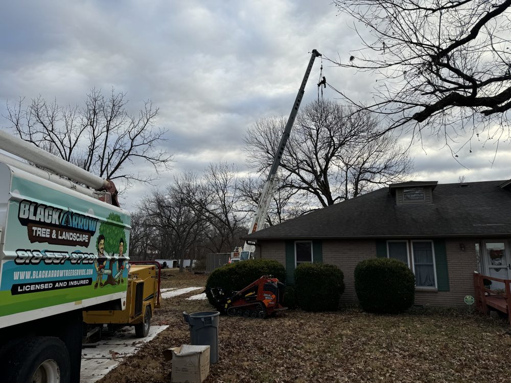 Black Arrow Tree and Landscape - tree service in Broken Arrow, OK