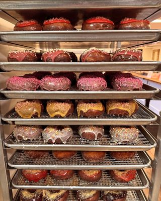 Curiosity Doughnuts by null