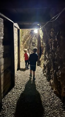 Reed Gold Mine by null