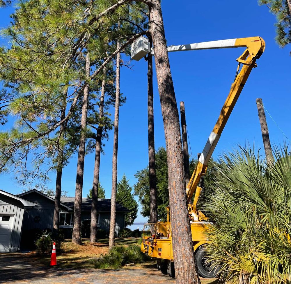 STRAIGHTLINE CLEARING 2012 Bella Coola Rd, Lake Waccamaw, North