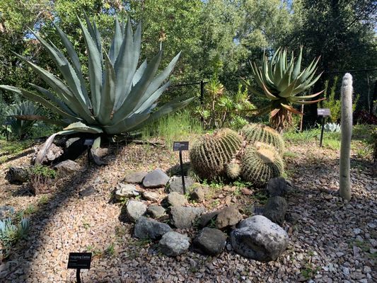 MONTALVO ARTS CENTER 781 Photos &amp; 270 Reviews