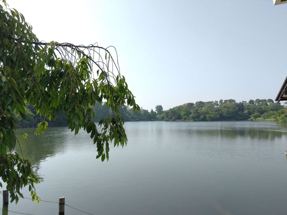Senzokuike Park