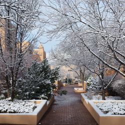 Quail Run Club - Winter wonderland
