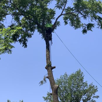 Peru Tree Service - Tree Services Near Me - West Chester, Ohio Peru Tree Service - Tree Services Near Me - West Chester, Ohio