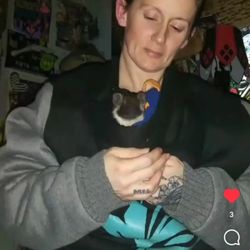 Granite State Hedgehogs - Huff as he is king and cuddly