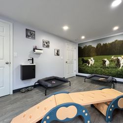 Mellow Pet Grooming & Spa - Play waiting room