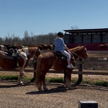 Horseplay - Horseback Riding Near Me - Port Colborne, Ontario Horseplay - Horseback Riding Near Me - Port Colborne, Ontario
