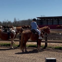 Horseplay