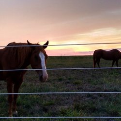 Coyote Creek Tack & Stables