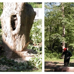 Glynn Tree Experts