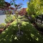 Bay Area R Landscape