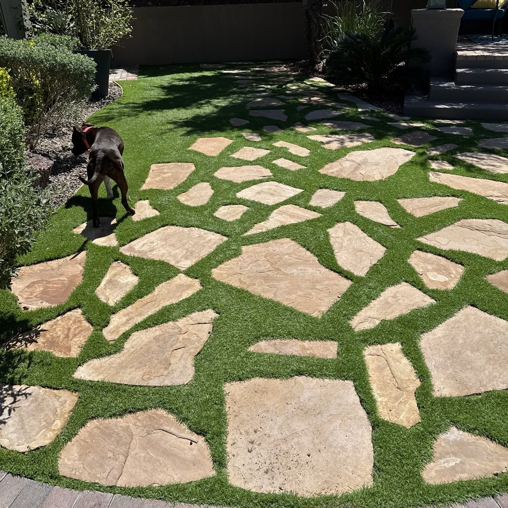 Big Bully Turf - Before, looks ok but wish you could smell it - Landscaping Near Me - Henderson, Nevada