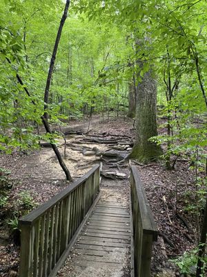 WILLIAM B UMSTEAD STATE PARK - L 