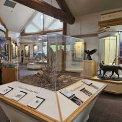 Fall River Visitor Center - Rocky Mountain National Park - Exhibits