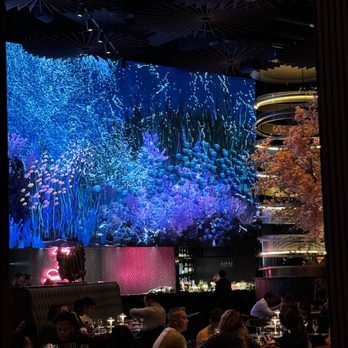 Three Thirty Three - Steakhouses Near Me - Tempe, Arizona Three Thirty Three - Steakhouses Near Me - Tempe, Arizona