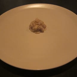 Razor Clam