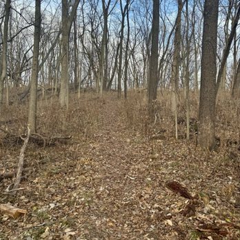 Glenns Valley Nature Park - Nicely kept trails - Parks Near Me - Indianapolis, Indiana Glenns Valley Nature Park - Nicely kept trails - Parks Near Me - Indianapolis, Indiana