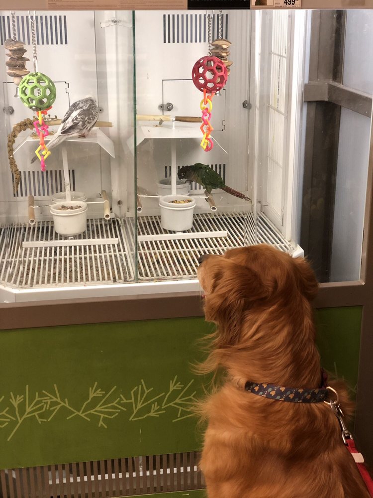 PETCO 35 Photos & 121 Reviews Pet Stores 1280 Lexington Ave, New