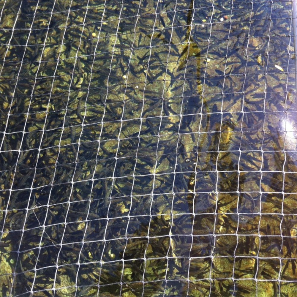Bonneville Dam Fish Hatchery - Aquariums Near Me - Cascade Locks, Oregon Bonneville Dam Fish Hatchery - Aquariums Near Me - Cascade Locks, Oregon