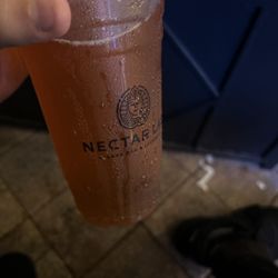 Nectar Lab - Dragon fruit tea - Green & yellow.