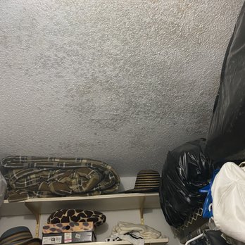 Air Doctors Mold Assessors - Mold growing on ceiling - Home Inspectors Near Me - Cutler Bay, Florida