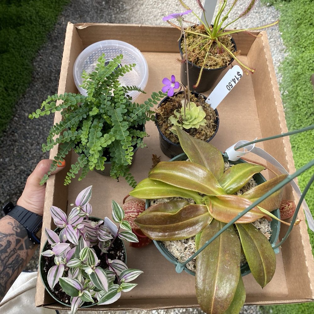 Half Moon Bay Nursery - Plants - Nurseries & Gardening Near Me - Half Moon Bay, California