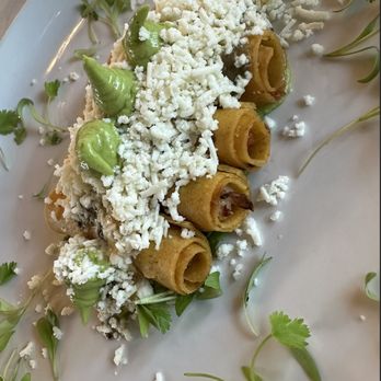 Flora - Crispy Chicken Taquitos - Mexican Near Me - Houston, Texas