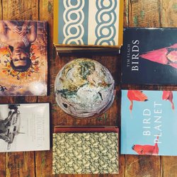 Wellington Square Bookshop - Coffee table books.