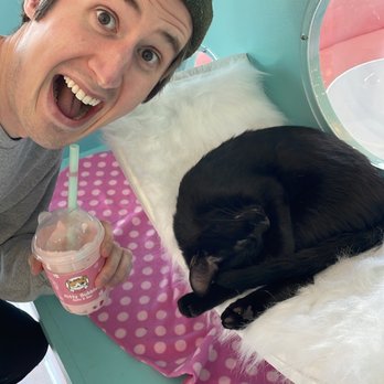 Kitty Bubble Cafe & Bar - Cafes Near Me - Columbus, Ohio