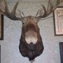 Photo of Loyal Order of Moose 1525