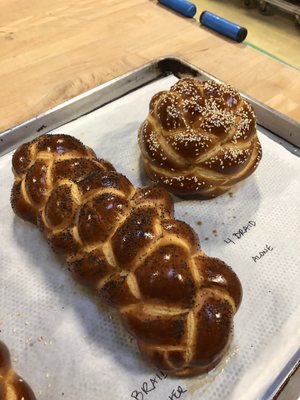 San Francisco Baking Institute by null