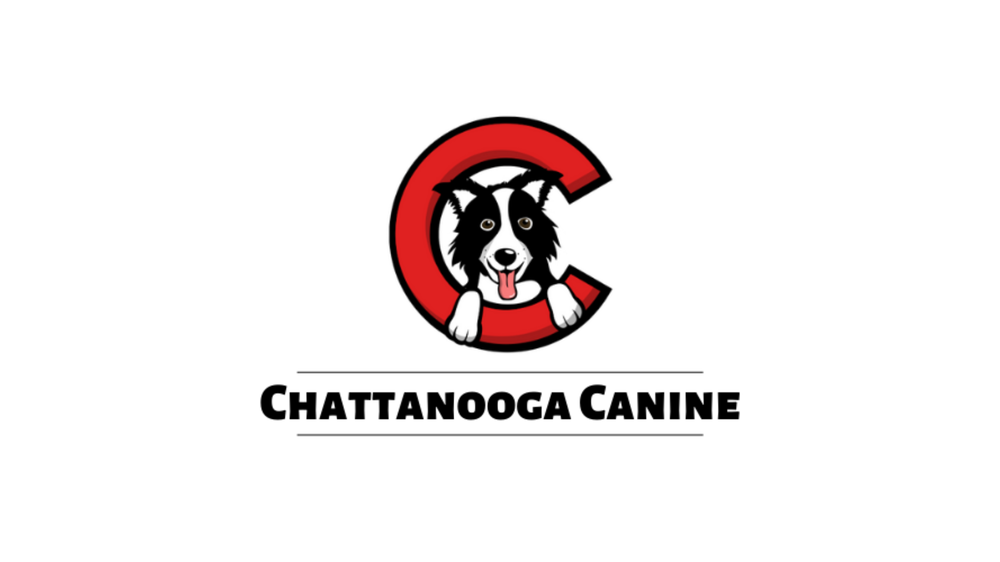CHATTANOOGA CANINE 7572 Rd, TN Yelp