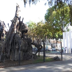 Árbol de la Noche Triste