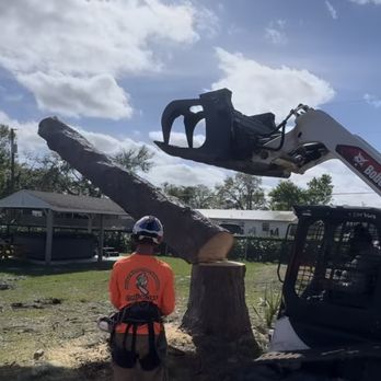 Indian River Tree Solutions - Tree Services Near Me - Vero Beach, Florida