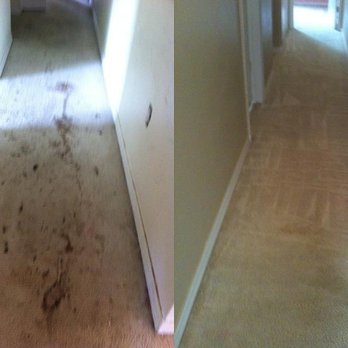 Master Restoration Team - Carpet Cleaning before and after - Damage Restoration Near Me - Chilhowie, Virginia