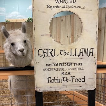 Sustainable Safari - Petting Zoos Near Me - Maplewood, Minnesota Sustainable Safari - Petting Zoos Near Me - Maplewood, Minnesota