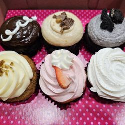 Smallcakes Lantana