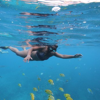 Iruka Hawaii Dolphin - Snorkeling Near Me - Honolulu, Hawaii