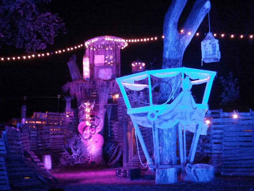 RAIN LILY FARM Updated July 2024 14 Photos 914 Shady Ln, Austin