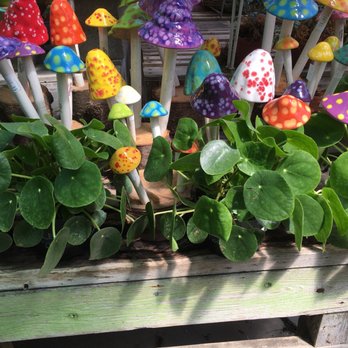 Fair Oaks Boulevard Nursery - Nurseries & Gardening Near Me - Sacramento, California Fair Oaks Boulevard Nursery - Nurseries & Gardening Near Me - Sacramento, California