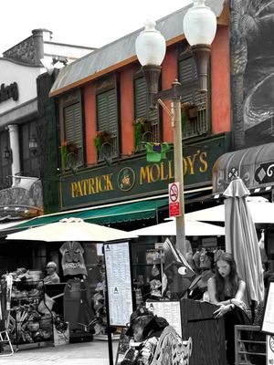 Patrick Molloys by null