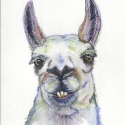 The Artistic Pony Studio - The Artistic Pony Studio, Ltd