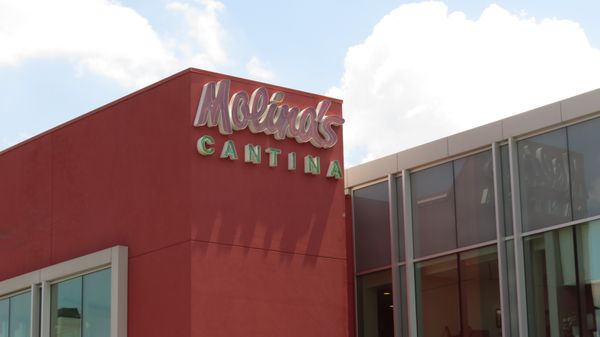 Molina's Cantina by null