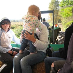 Davis Family Farm - Lots of kiddies