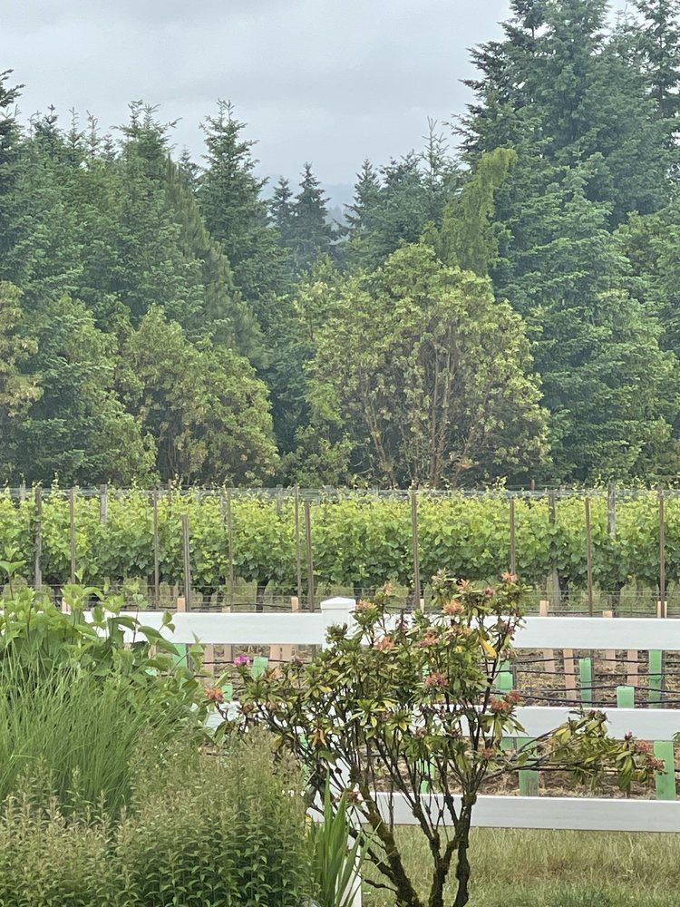 Benza Vineyards Logo